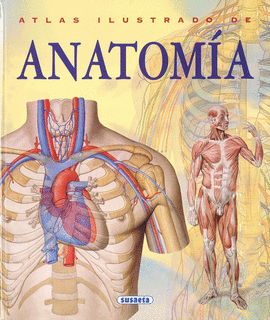 ANATOMÍA