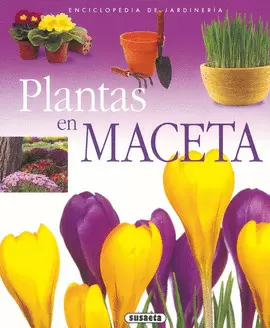 PLANTAS EN MACETA