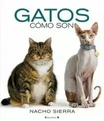GATOS COMO SON