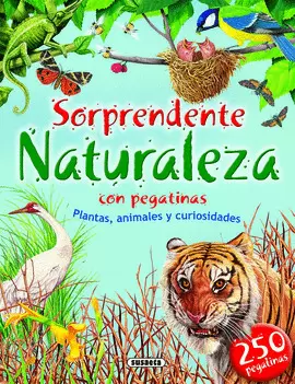 SORPRENDENTE NATURALEZA CON PEGATINAS