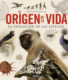 EL ORIGEN DE LA VIDA