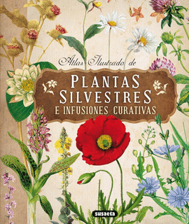 ATLAS ILUSTRADO PLANTAS SILVESTRES - INFUSIONES