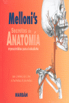 SECRETOS DE ANATOMIA (ESTUDIO)