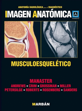 IMAGEN ANATOMICA MUSCULO ESQUELETICO