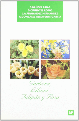 GERBERA, LILIUM, TULIPAN Y ROSA