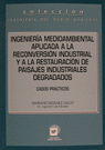 INGENIERIA MEDIOAMBIENT.APLIC.RECONVER.INDUST