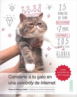 CÓMO CONVERTIRTU GATO EN UNA CELEBRITY DE INTERNET