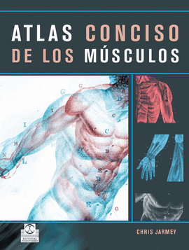 ATLAS CONCISO DE LOS M¿SCULOS.  2008.