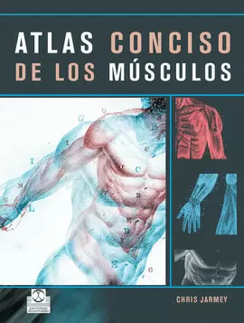 ATLAS CONCISO DE LOS M¿SCULOS.  2008.