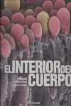 EL INTERIO DEL CUERPO