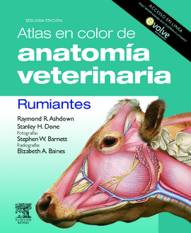 ATLAS EN COLOR DE ANAT VETERINARIA. RUMIANTES 2ED