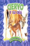 CIERVO Y SU CRIA