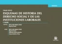 ESQUEMAS TOMO XXVIII ESQUEMAS DE HISTORIA (2ª ED) DEL DERECHO SOCIAL Y DE LAS INSTITUCIONES LABORALE