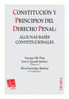 CONSTITUCION Y PRINCIPIOS DEL DERECHO PENAL: ALGUNAS BASES CONSTITUCIONALES