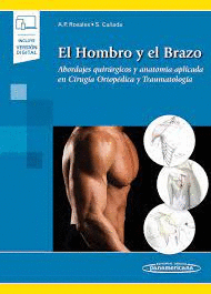 EL HOMBRO Y EL BRAZO