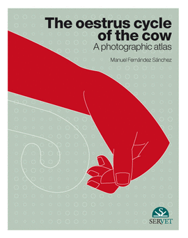 THE OESTRUS CYCLE OF THE COW