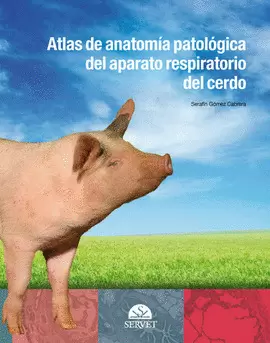 ATLAS DE ANATOMÍA PATOLÓGICA DEL APARATO RESPIRATORIO DEL CERDO