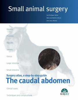 THE CAUDAL ABDOMEN. SMALL ANIMAL SURGERY