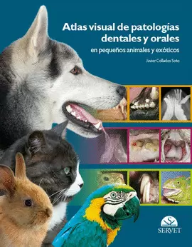 ATLAS VISUAL DE PATOLOGÍAS DENTALES Y ORALES EN PEQUEÑOS ANIMALES Y EXÓTICOS