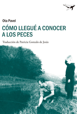 COMO LLEGUE A CONOCER LOS PECES