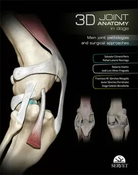 3D JOINT ANATOMY IN DOGS