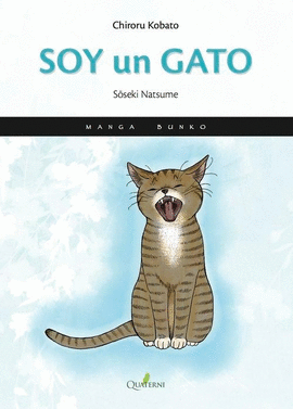 SOY UN GATO