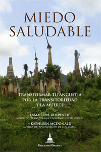 MIEDO SALUDABLE. TRANSFORMAR TU ANGUSTIA POR LA TRANSITORIEDAD Y LA MUERTE