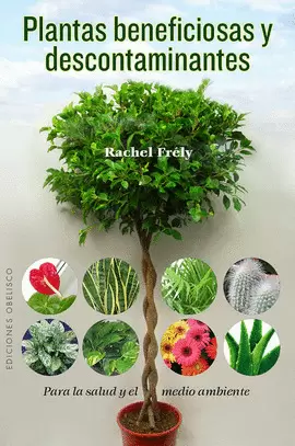 PLANTAS BENEFICIOSAS Y DESCONTAMINANTES