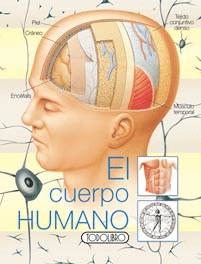 EL CUERPO HUMANO