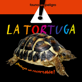 TORTUGA LA TD