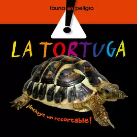 TORTUGA LA TD