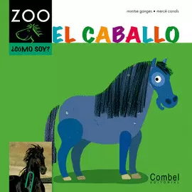 CABALLO EL TD COMO SOY?