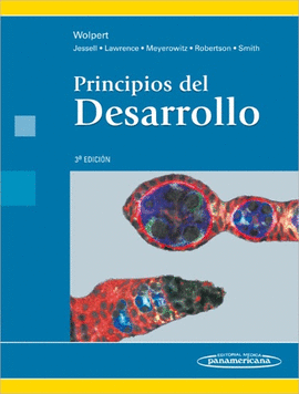 PRINCIPIOS DEL DESARROLLO