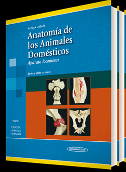 ANATOMÍA DE LOS ANIMALES DOMÉSTICOS (2TOMOS)