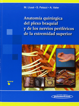 ANATOMÍA QUIRÚRGICA DEL PLEXO BRAQUIAL Y NERVIOS PERIFÉRICOS DE LA EXTREMIDAD SUPERIOR. INCLUYE SITI