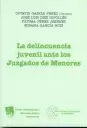 DELINCUENCIA JUVENIL ANTE LOS JUZGADOS DE MENORES