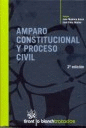 AMPARO CONSTITUCIONAL Y PROCESO CIVIL (2ª ED)