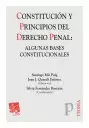 CONSTITUCION Y PRINCIPIOS DEL DERECHO PENAL