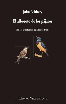 EL ALBOROTO DE LOS PAJAROS