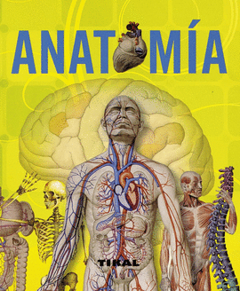 ANATOMÍA