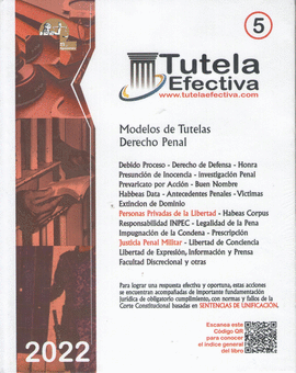 TUTELA EFECTIVA 5 - MODELOS DE TUTELAS DERECHO PENAL