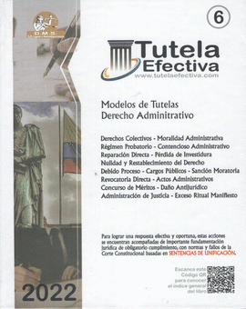 TUTELA EFECTIVA 6 - MODELOS DE TUTELAS DERECHO ADMINISTRATIVO