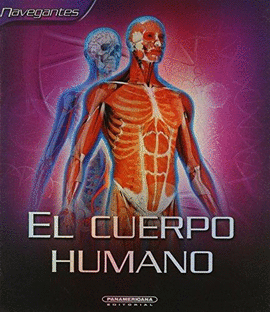 EL CUERPO HUMANO