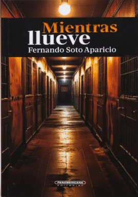 MIENTRAS LLUEVE