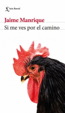 SI ME VES POR EL CAMINO