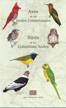 AVES DE LOS ANDES COLOMBIANOS