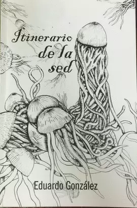 ITINERARIO DE LA SED