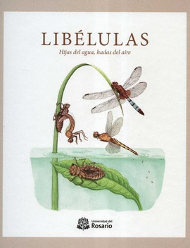 LIBÉLULAS. HIJAS DEL AGUA, HADAS DEL AIRE