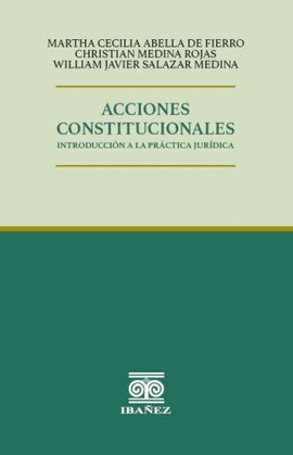ACCIONES CONSTITUCIONALES. INTRODUCCIÓN A LA PRACTICA JURÍDICA