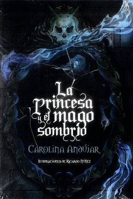 LA PRINCESA Y EL MAGO SOMBRIO